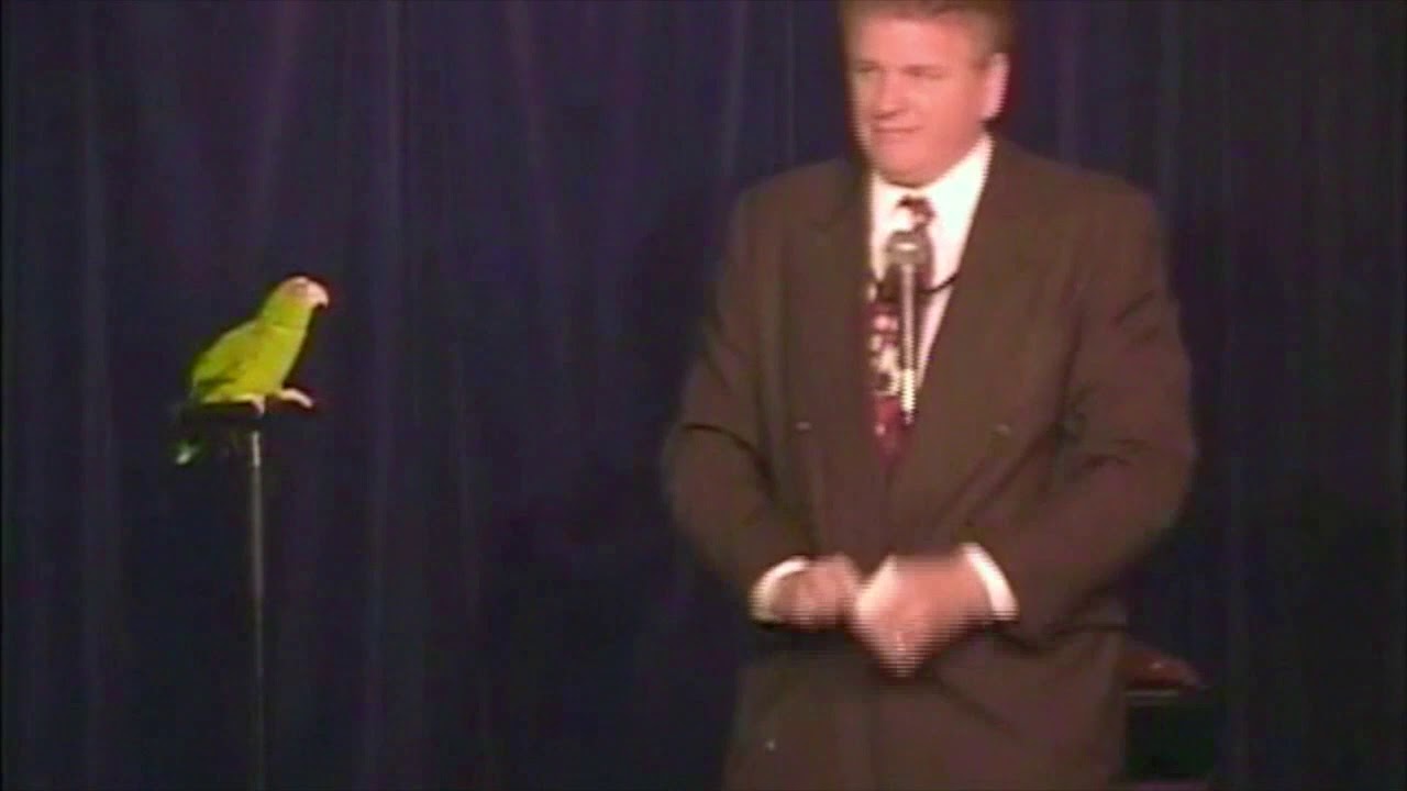 YouTube video thumbnail